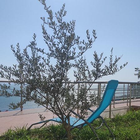 Apartment Oliva Ulcinj Exteriör bild